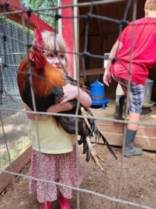 Friendship-Ranch-Farm-Experience-Chicken