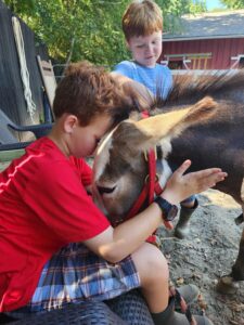 Friendship-Ranch-Farm-Experience-Goat