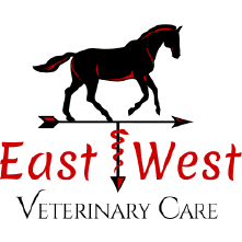 Friendship Ranch Homepage Content_about-east-west-veterinary