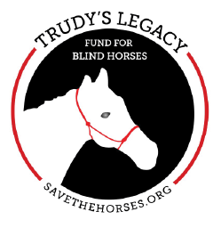 Friendship Ranch Homepage Content_about-trudys-legacy-horses