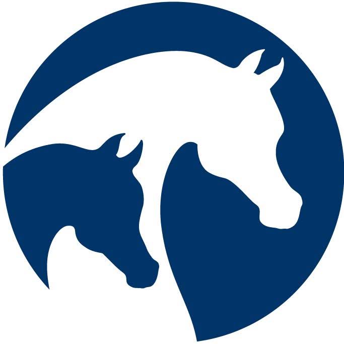 American Arabian Association